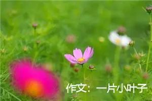 作文：一片小叶子