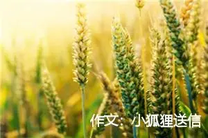 作文：小狐狸送信