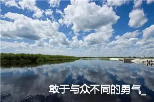 敢于与众不同的勇气_作文650字_初中议论文作文