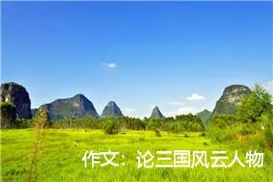 作文：论三国风云人物