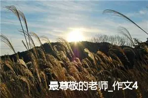 最尊敬的老师_作文450字_小学写信作文