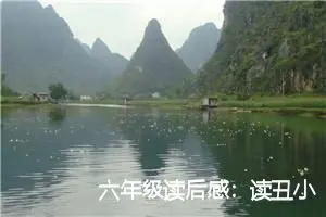 六年级读后感：读丑小鸭后的心得_作文700字_小学生读后感