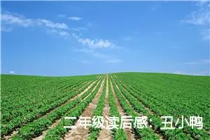 二年级读后感：丑小鸭读后感_作文350字_小学生读后感