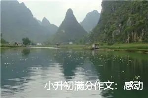 小升初满分作文：感动的一幕_作文600字_小升初作文