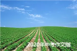 2020年中考作文指导：中考作文常见问题及对策_作文2500字_中考作文指导