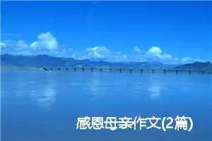 感恩母亲作文(2篇)_小学写信作文