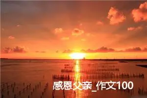 感恩父亲_作文1000字_小学写信作文