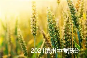 2021滨州中考满分作文赏析：我与书的故事_中考满分作文