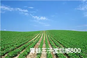 青蛙王子读后感800字精选_小学生读后感