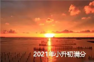 2021年小升初满分作文：奶奶的爱_作文1250字_小升初作文