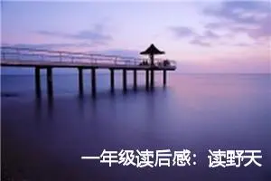 一年级读后感：读野天鹅有感_作文850字_小学生读后感