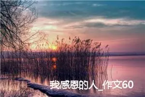 我感恩的人_作文600字_小学写信作文