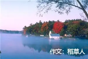 作文：稻草人