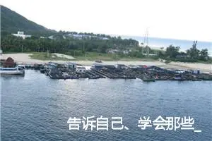 告诉自己、学会那些_作文300字_初中议论文作文