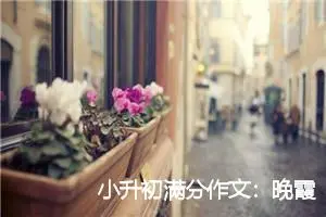 小升初满分作文：晚霞_作文500字_小升初作文