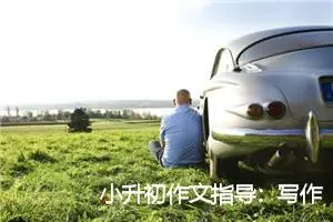 小升初作文指导：写作文五条心得_作文1250字_小升初作文