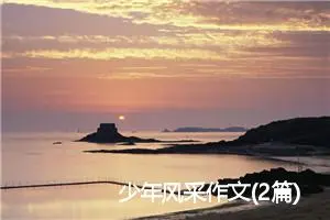 少年风采作文(2篇)_初中议论文作文