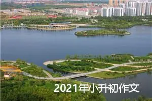 2021年小升初作文预测：我成长我担当_作文1050字_小升初作文