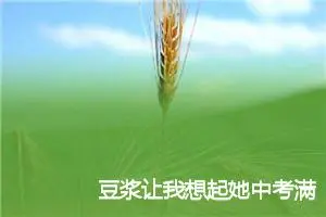 豆浆让我想起她中考满分作文_中考满分作文
