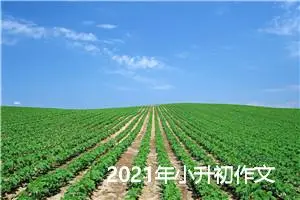 2021年小升初作文题目预测：中国梦我的梦_作文2250字_小升初作文