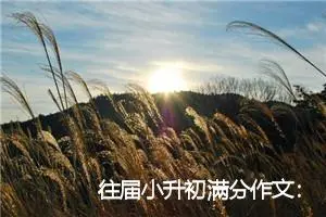往届小升初满分作文：我爱我家_作文700字_小升初作文