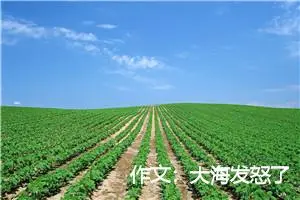 作文：大海发怒了