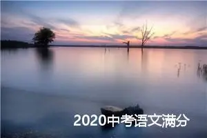 2020中考语文满分作文的小技巧_作文2250字_中考作文指导