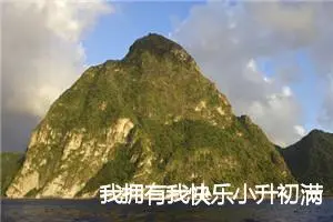 我拥有我快乐小升初满分作文_作文650字_小升初作文