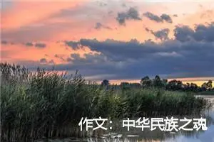 作文：中华民族之魂