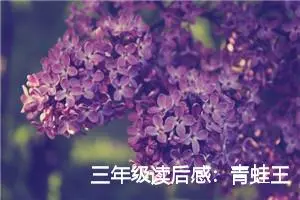 三年级读后感：青蛙王子读后感言_作文200字_小学生读后感