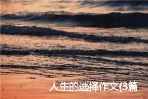 人生的选择作文(3篇)_初中议论文作文
