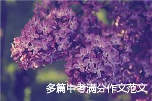 多篇中考满分作文范文_中考满分作文