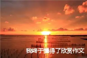 我终于懂得了欣赏作文700字_初二作文