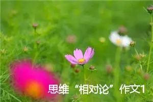 思维“相对论”作文1000字_初三作文