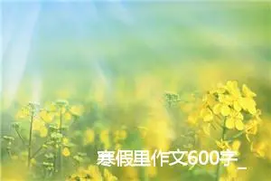 寒假里作文600字_初二作文