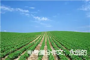 中考满分作文：永远的那一秒_作文500字_中考作文
