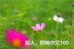 那人，那树作文1000字_初三作文