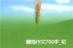 鞭炮作文700字_初二作文