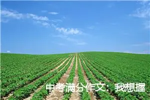 中考满分作文：我想握住你的手_作文550字_中考作文