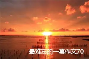 最难忘的一幕作文700字_初二作文