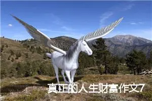 真正的人生财富作文700字_初三作文
