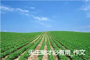 天生我才必有用_作文700字_初中议论文作文