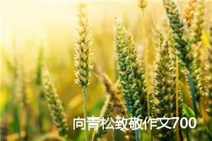 向青松致敬作文700字_初二作文