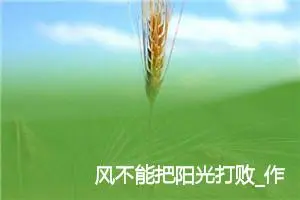 风不能把阳光打败_作文500字_初中议论文作文