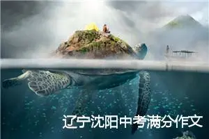 辽宁沈阳中考满分作文赏析：心泉叮咚_中考满分作文