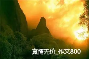 真情无价_作文800字_初中议论文作文
