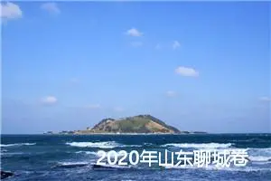 2020年山东聊城卷中考优秀作文范文_中考满分作文