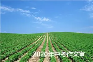 2020年中考作文审题技巧_作文400字_中考作文指导
