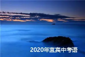 2020年宜宾中考语文满分作文：做好自己_中考满分作文
