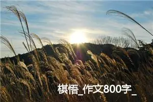棋悟_作文800字_初中议论文作文